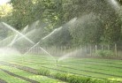 Puntabielandscaping-water-management-and-drainage-17.jpg; ?>